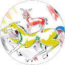 Tsering W profile picture
